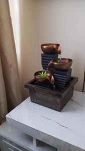 Homely Haven Stay One Bedroom Apartment