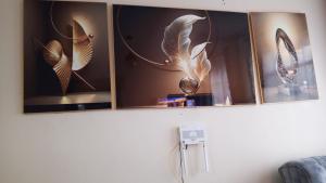 Homely Haven Stay One Bedroom Apartment