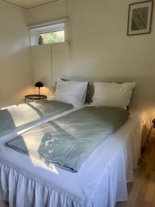 The Blue Country House