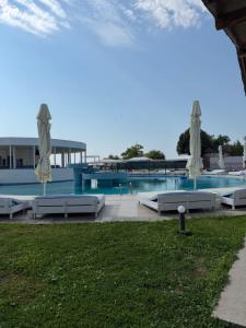Palace Resort