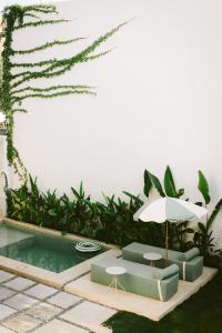 Amaroo Palms