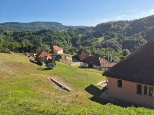 Seosko domacinstvo Radovanovic
