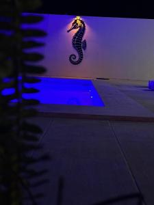 Deniz Atı Tatil Evleri