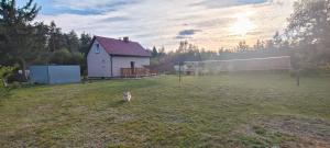Domek - Księżyc Pod Sosnami
