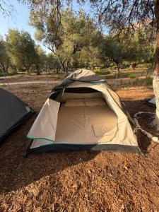 SeaGrove Camping