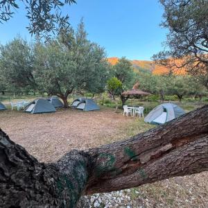 SeaGrove Camping
