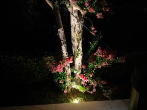 Villa Karina - Luxury Suite, Jacuzzi Pool & Garden Ostia Rome