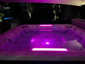 Villa Karina - Luxury Suite, Jacuzzi Pool & Garden Ostia Rome