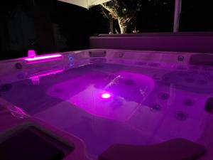 Villa Karina - Luxury Suite, Jacuzzi Pool & Garden Ostia Rome