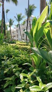 Hotel Bloom Garden Beach Punta Cana