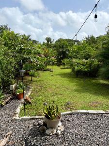 Casa Heliconia- La Fortuna