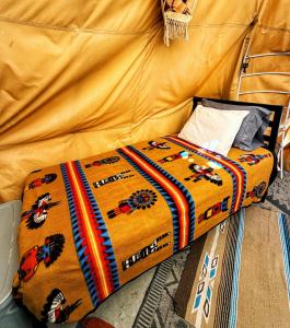 Cottonwood Creek Cabins - Alpine, TX