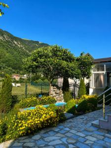 Lola Guest House