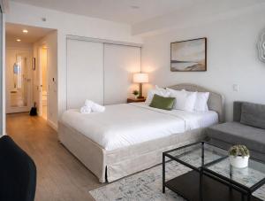 Studio Condos - Downtown Toronto