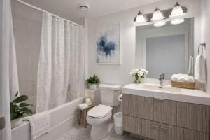 Studio Condos - Downtown Toronto