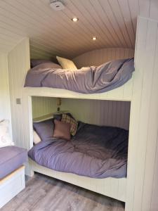 Aldwark Bridge Glamping - Shepherds Hut