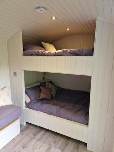 Aldwark Bridge Glamping - Shepherds Hut