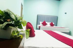 Linas Homestay