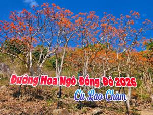 Quỳnh s House