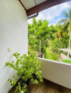 Royal Ceylon Residence