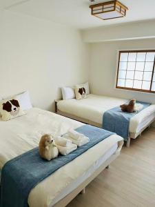 Cedar House Suginoya 杉之家