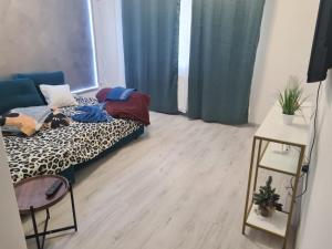 apartament 1 camera