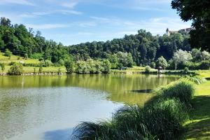 "Das Steirerhaus am Seggauberg" - Ferienhaus mit zwei separaten Apartments