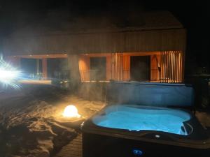 Chalet Villa Anita