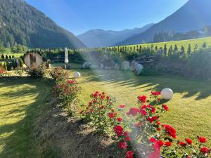 Chalet Villa Anita