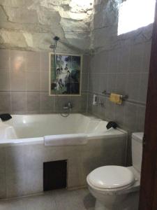 Villa Plamboyan 2 bedroom 2 bathroom apartment