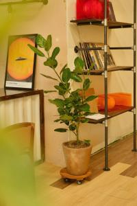 Central Apartment, Linh House