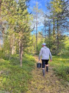 Cozy stuga in Swedish Lapland