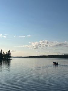 Cozy stuga in Swedish Lapland