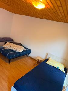 Casa Baciului,Cluj-Napoca