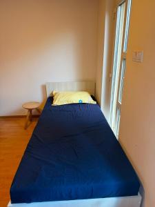 Casa Baciului,Cluj-Napoca