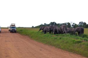 African Hiking Tours And Safaris