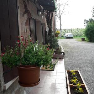 Agriturismo Dosso al Porto