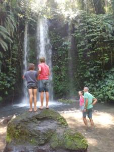 Tetebatu golden coconut homestay