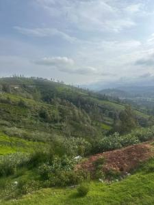 Natures lap Nundala Ooty