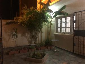 Saidia shourouk