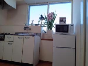 Tokyo downtown Syakuyakusou - Vacation STAY 18016