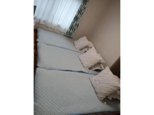 Tokyo downto Botansou - Vacation STAY 17971