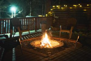 FUJINE Mt Fuji View Villa with BBQ Sauna and Fire Pit and Pet OK