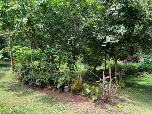 Sameera Guest House Midigama
