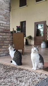 B&B Santa Cristina