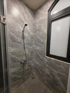 The Star hotel DTH3-31