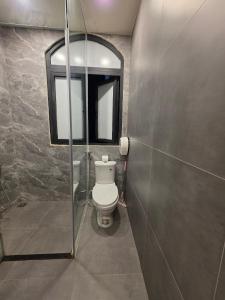 The Star hotel DTH3-31