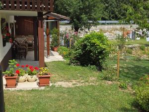 Apartma Dajana