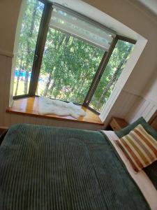 Departamento en Pucón