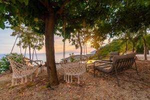 Casablanca Sunset Garden